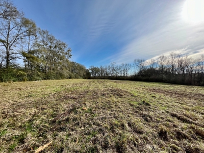117ac Farm Land for Sale Geneva Alabama - South Alabama - image 21