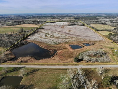 117ac Farm Land for Sale Geneva Alabama - South Alabama - image 7