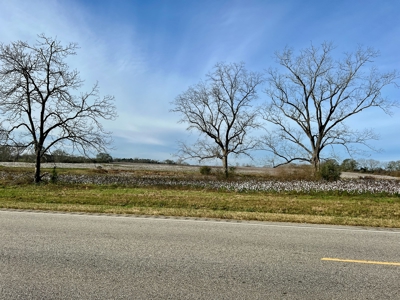 117ac Farm Land for Sale Geneva Alabama - South Alabama - image 31