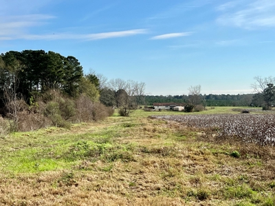 117ac Farm Land for Sale Geneva Alabama - South Alabama - image 23