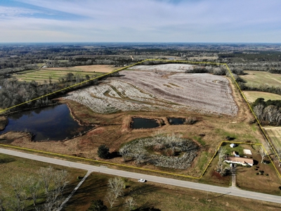 117ac Farm Land for Sale Geneva Alabama - South Alabama - image 6