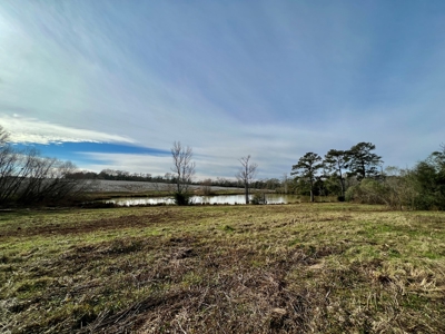 117ac Farm Land for Sale Geneva Alabama - South Alabama - image 17