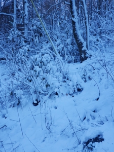 Lot For Sale in Boone NC - image 5