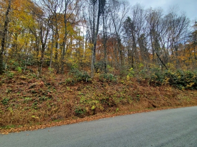 Lot For Sale in Boone NC - image 2