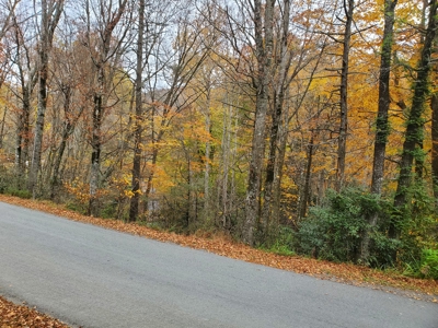 Lot For Sale in Boone NC - image 3