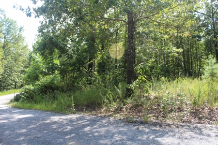 Residential Building Lot Near Mountain View - image 4