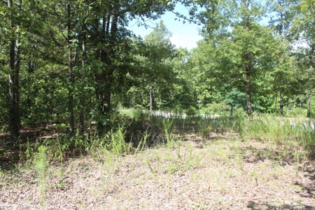 Residential Building Lot Near Mountain View - image 2