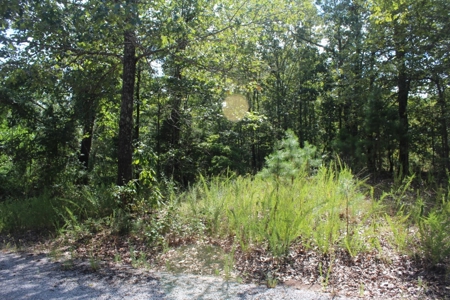 Residential Building Lot Near Mountain View - image 3