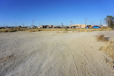 Fort Stockton Land For Sale W Dickinson Pecos Co. - image 1
