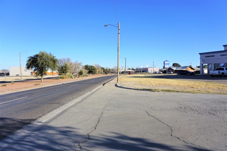 Fort Stockton Land For Sale W Dickinson Pecos Co. - image 8