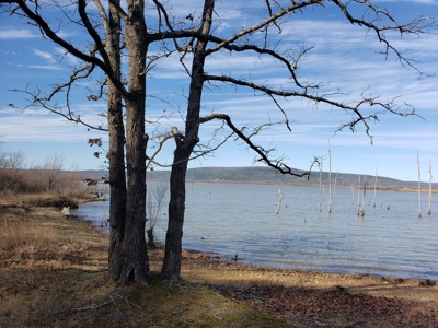 Income Producing Recreational Cabin – Sardis Lake - image 16