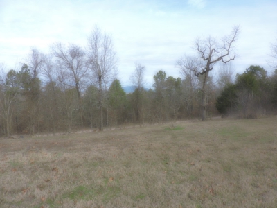2 Story Log Cabin with a View on 5 Acres m/l - image 23