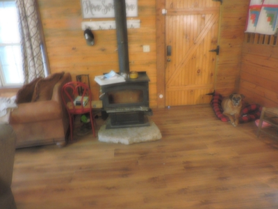 2 Story Log Cabin with a View on 5 Acres m/l - image 2