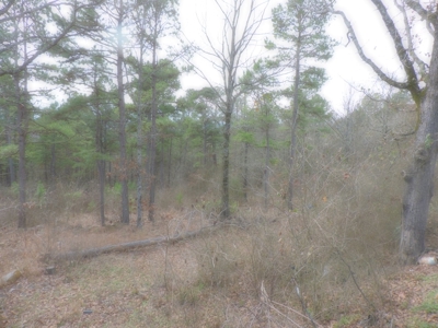 2 Story Log Cabin with a View on 5 Acres m/l - image 24