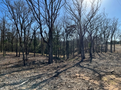 Lindale TX Country Lot for Sale in Smith County Lot 1 - image 13