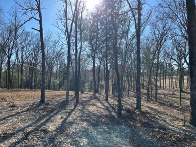 Lindale TX Country Lot for Sale in Smith County Lot 1 - image 11