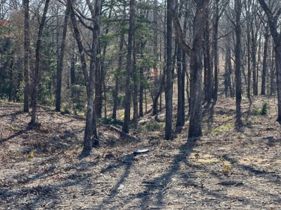 Lindale TX Country Lot for Sale in Smith County Lot 1 - image 15