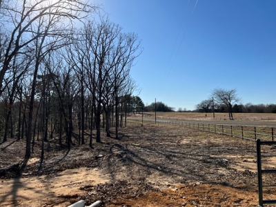 Lindale TX Country Lot for Sale in Smith County Lot 1 - image 8