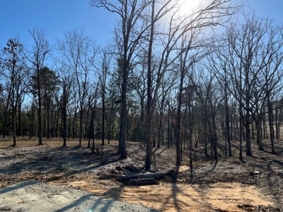 Lindale TX Country Lot for Sale in Smith County Lot 1 - image 7