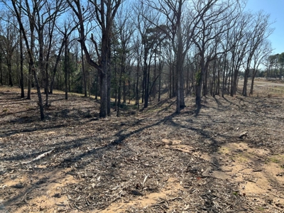 Lindale TX Country Lot for Sale in Smith County Lot 1 - image 14