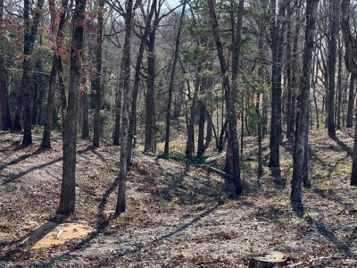 Lindale TX Country Lot for Sale in Smith County Lot 1 - image 9