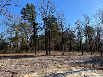 Lindale TX Country Lot for Sale in Smith County Lot 1 - image 5