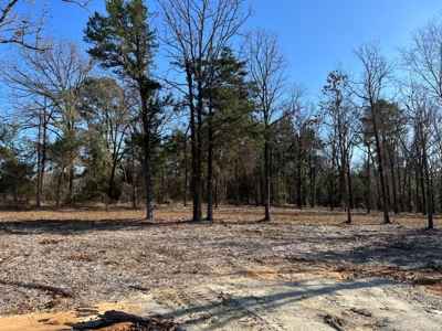 Lindale TX Country Lot for Sale in Smith County Lot 1 - image 6