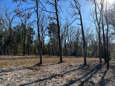Lindale TX Country Lot for Sale in Smith County Lot 1 - image 10