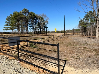 Small Acre Country Land for Sale Lindale TX Smith Co Lot 3 - image 5
