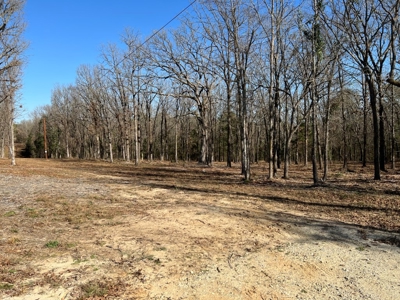 Small Acre Country Land for Sale Lindale TX Smith Co Lot 3 - image 6