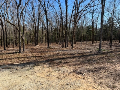 Small Acre Country Land for Sale Lindale TX Smith Co Lot 3 - image 7