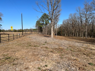 Small Acre Country Land for Sale Lindale TX Smith Co Lot 3 - image 9