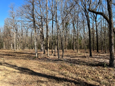 Small Acre Country Land for Sale Lindale TX Smith Co Lot 3 - image 10