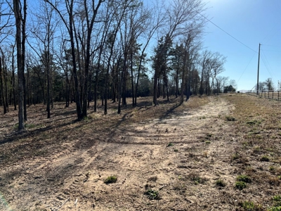 Small Acre Country Land for Sale Lindale TX Smith Co Lot 3 - image 8