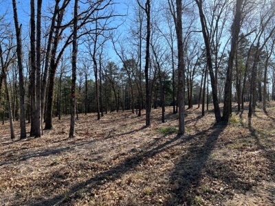 Small Acre Country Land for Sale Lindale TX Smith Co Lot 3 - image 12