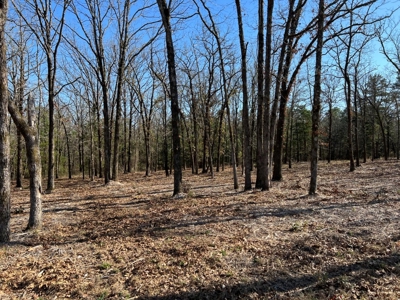 Small Acre Country Land for Sale Lindale TX Smith Co Lot 3 - image 11