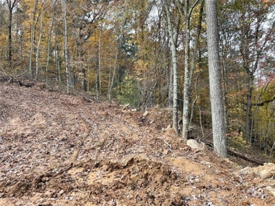 Lot with creek in N. GA Mountains - image 2