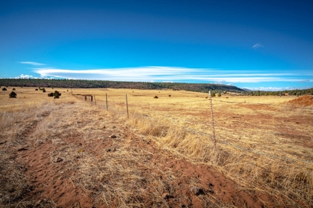 Northern New Mexico Farm & Ranch For Sale - image 26