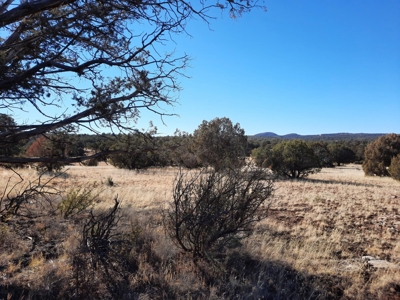 Beautiful Property - image 6