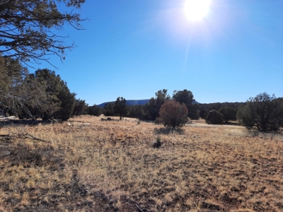 Beautiful Property - image 1