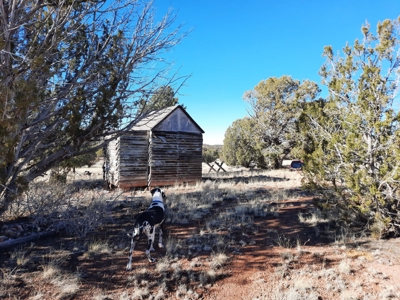 Beautiful Property - image 12
