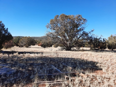 Beautiful Property - image 10