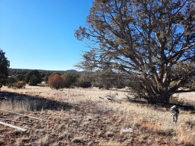 Beautiful Property - image 8