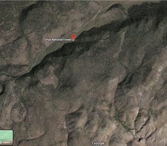 Nevada Recreational Mountain Land For Sale Mineral County NV - image 7