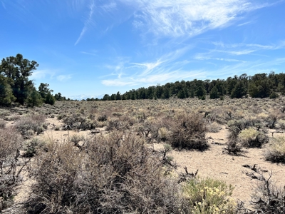 Nevada Recreational Mountain Land For Sale Mineral County NV - image 26