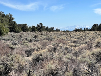 Nevada Recreational Mountain Land For Sale Mineral County NV - image 27