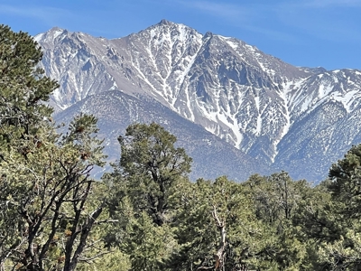 Nevada Recreational Mountain Land For Sale Mineral County NV - image 12