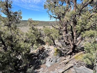Nevada Recreational Mountain Land For Sale Mineral County NV - image 28