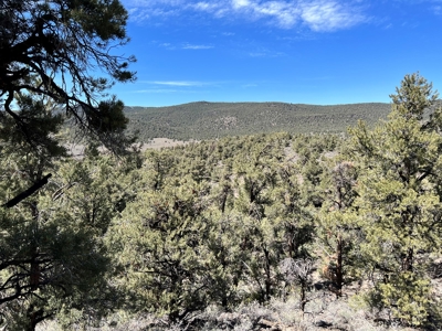 Nevada Recreational Mountain Land For Sale Mineral County NV - image 16