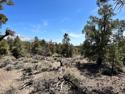 Nevada Recreational Mountain Land For Sale Mineral County NV - image 24